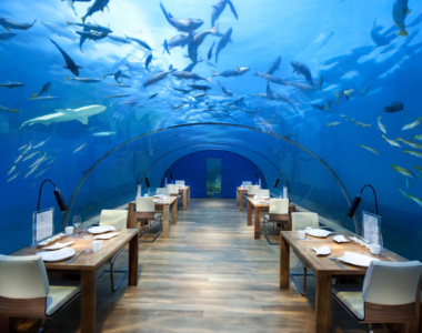 Ithaa Underwater Restaurant, Conrad Maldives Rangali Island, Maldiverne