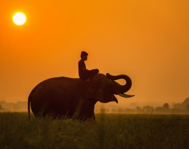 Laos, Sydøstasien