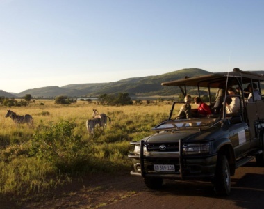 Safari fra Shepherds Tree Game Lodge, Sydafrika