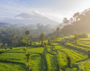 Solopgang over risterrasser og Mount Agung, Bali