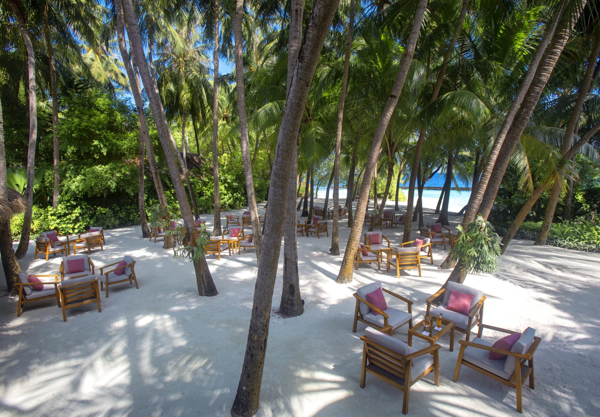 Baros Maldives_Palm Garden_Landscape_Baros_Maldiverne_Det_Indiske_Ocean