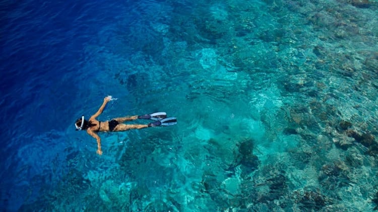 DS-Snorkeling_Fairmont_Maldives_Sirru_Fen_Fushi_Maldiverne_Det_Indiske_Ocean