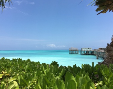 Seafront View Essque Zalu Zanzibar Afrika