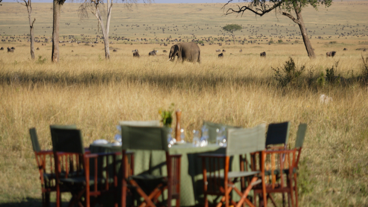 Govenors Camp, Kenya, Afrika Govenors Camp, Kenya, Afrika