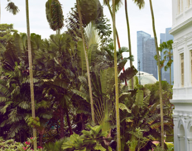 RHS-Palm-Court-Custom_Raffles_Hotel_Singapore_Malaysia_Sydøstasien