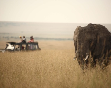 Safari fra Rekero Camp i Kenya, Afrika