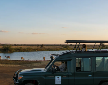Safari med Ololo Safari Lodge, Nairobi, Afrika