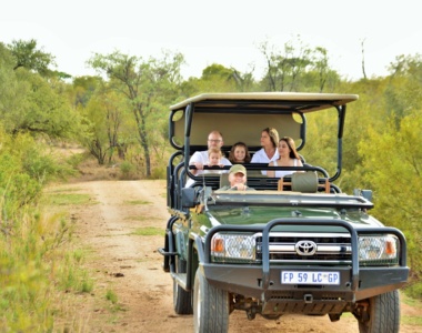 Oplev safari i Afrika med familien
