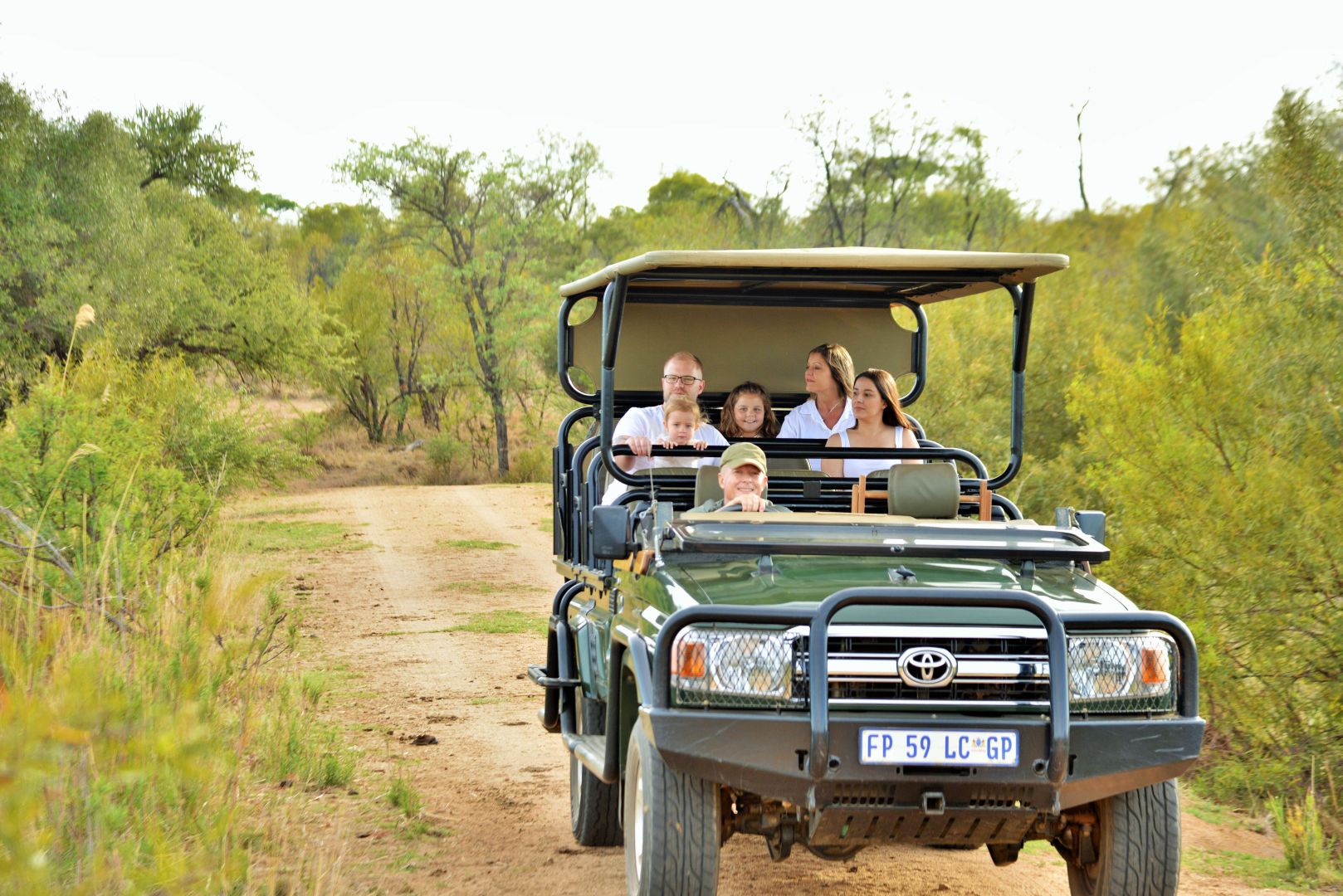 safari rejser i sydafrika