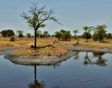 Dyrenes vandhul på Safari Plains, Sydafrika