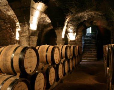 Vinsmagning hos Joseph Drouhin, Frankrig