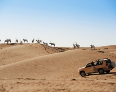 Ørkensafari fra Al Maha Desert Camp, Dubai