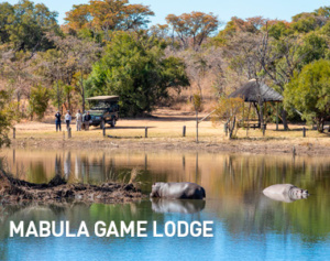 Mabula Game Lodge, Sydafrika