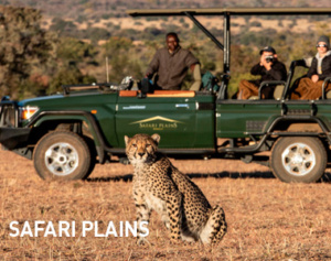 Safari Plains, Sydafrika