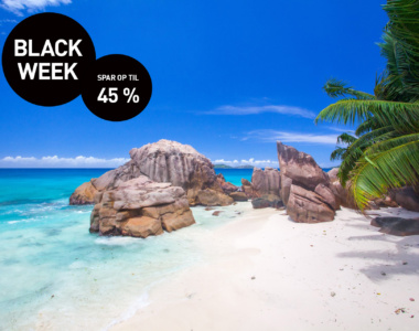 Black Week hos Discovery Travel