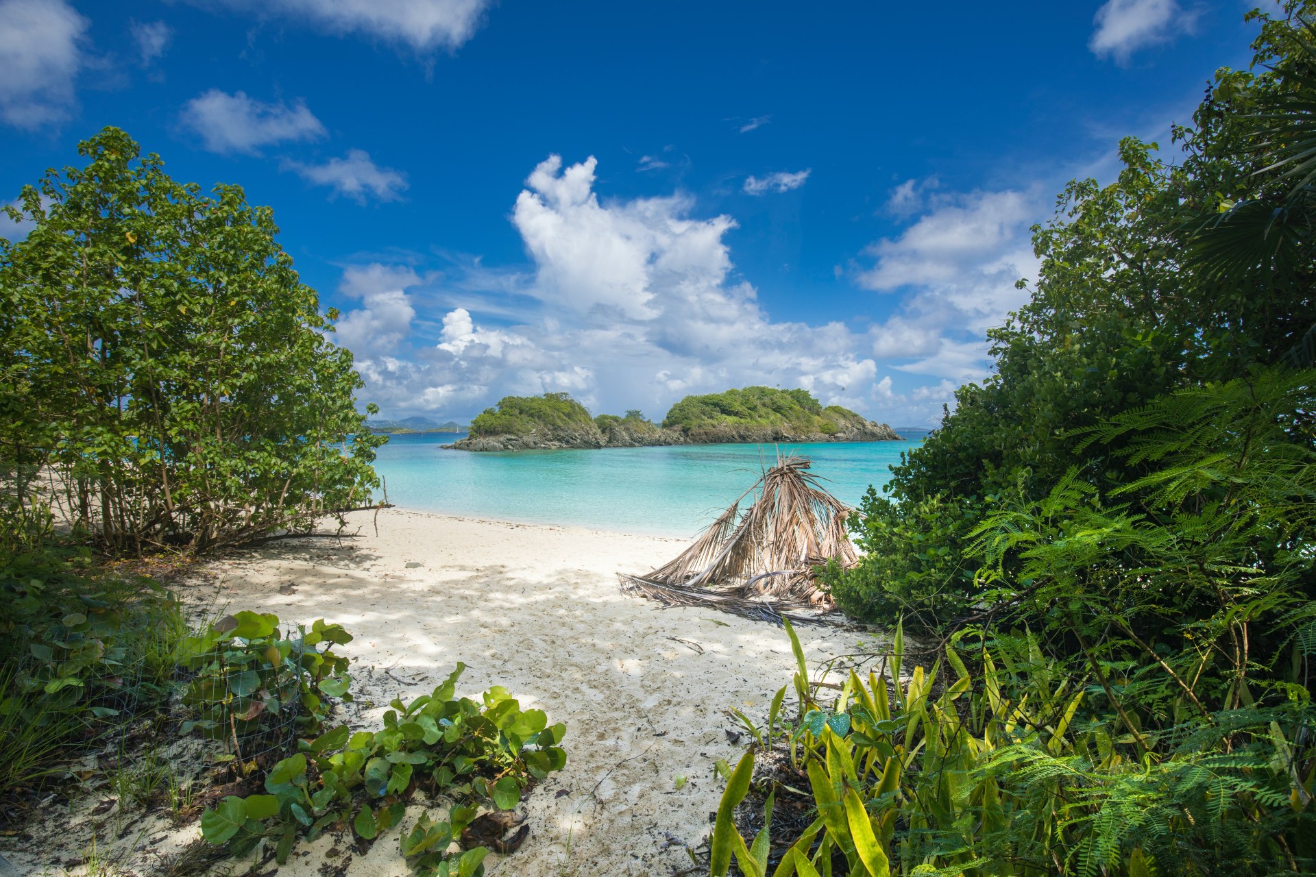 Trunk Bay på St John, Caribien Trunk Bay på St John, Caribien