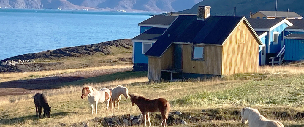 Brattahlid, Grønland