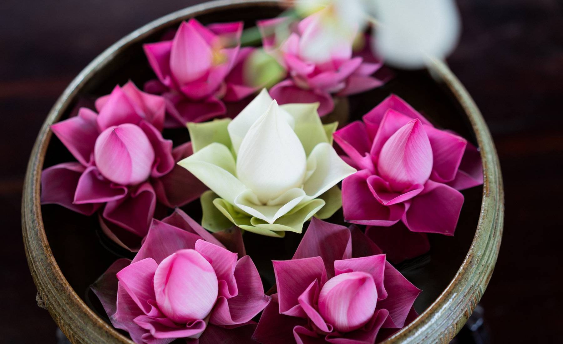 Raffles Spa, Raffles Grand Hotel d'Ankor, Cambodia Raffles Spa, Raffles Grand Hotel d'Ankor, Cambodia