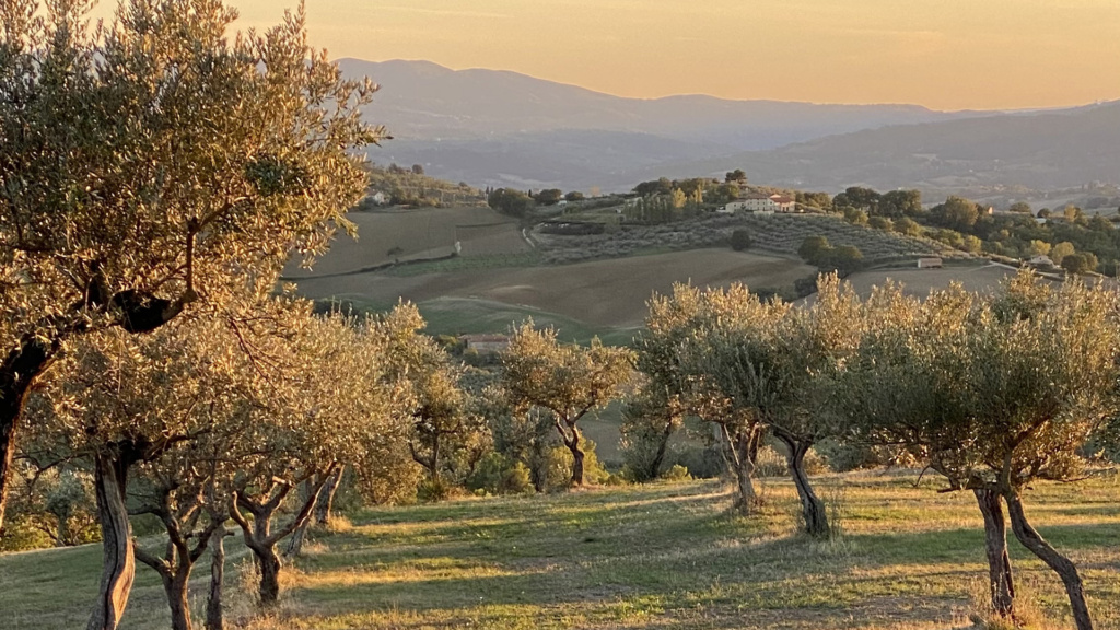 Landskabet omkring vingården La Ghirlanda Wine Resort i Umbrien, Italien