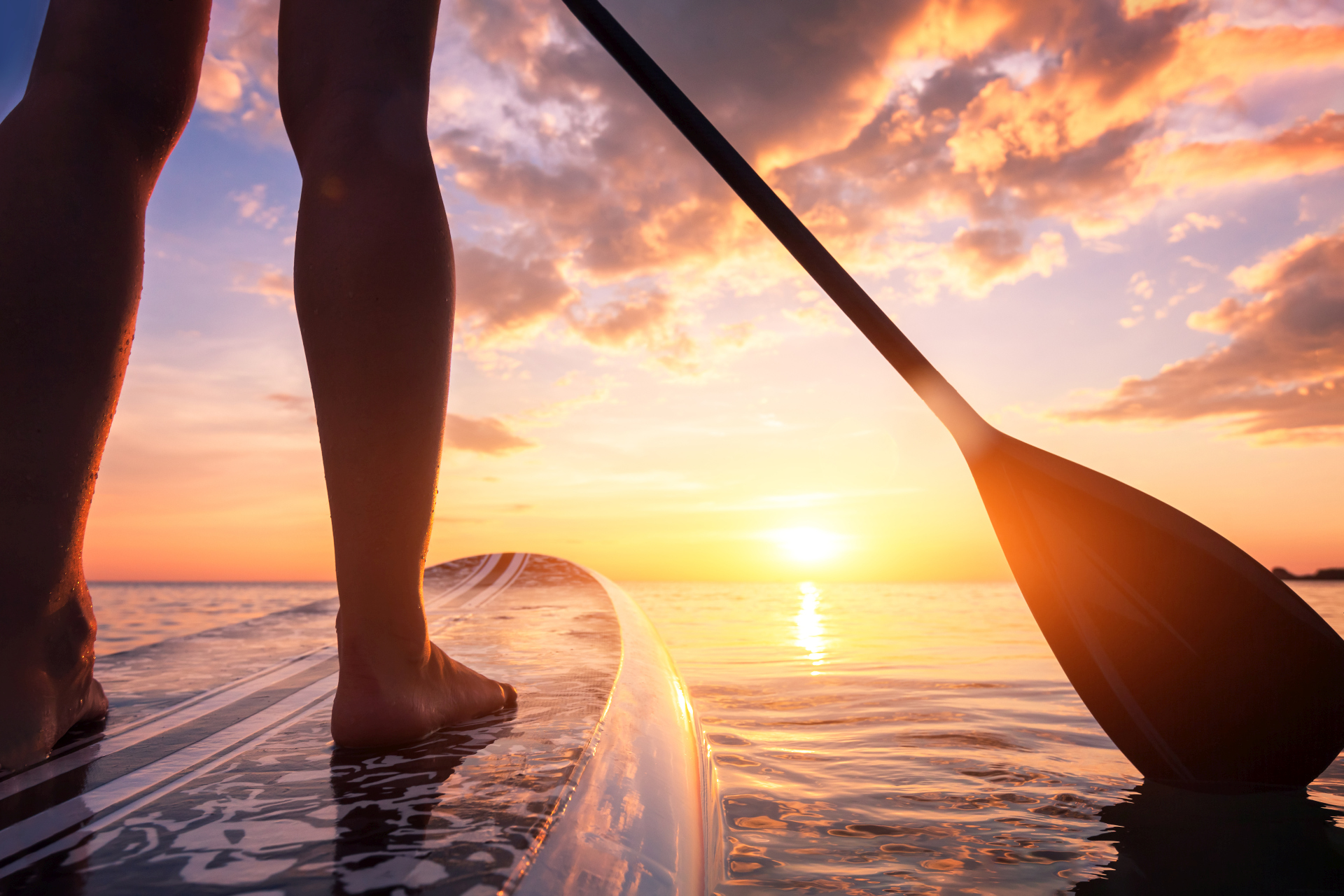 SUP board på Avani+ Fares Maldives, Maldiverne SUP board på Avani+ Fares Maldives, Maldiverne