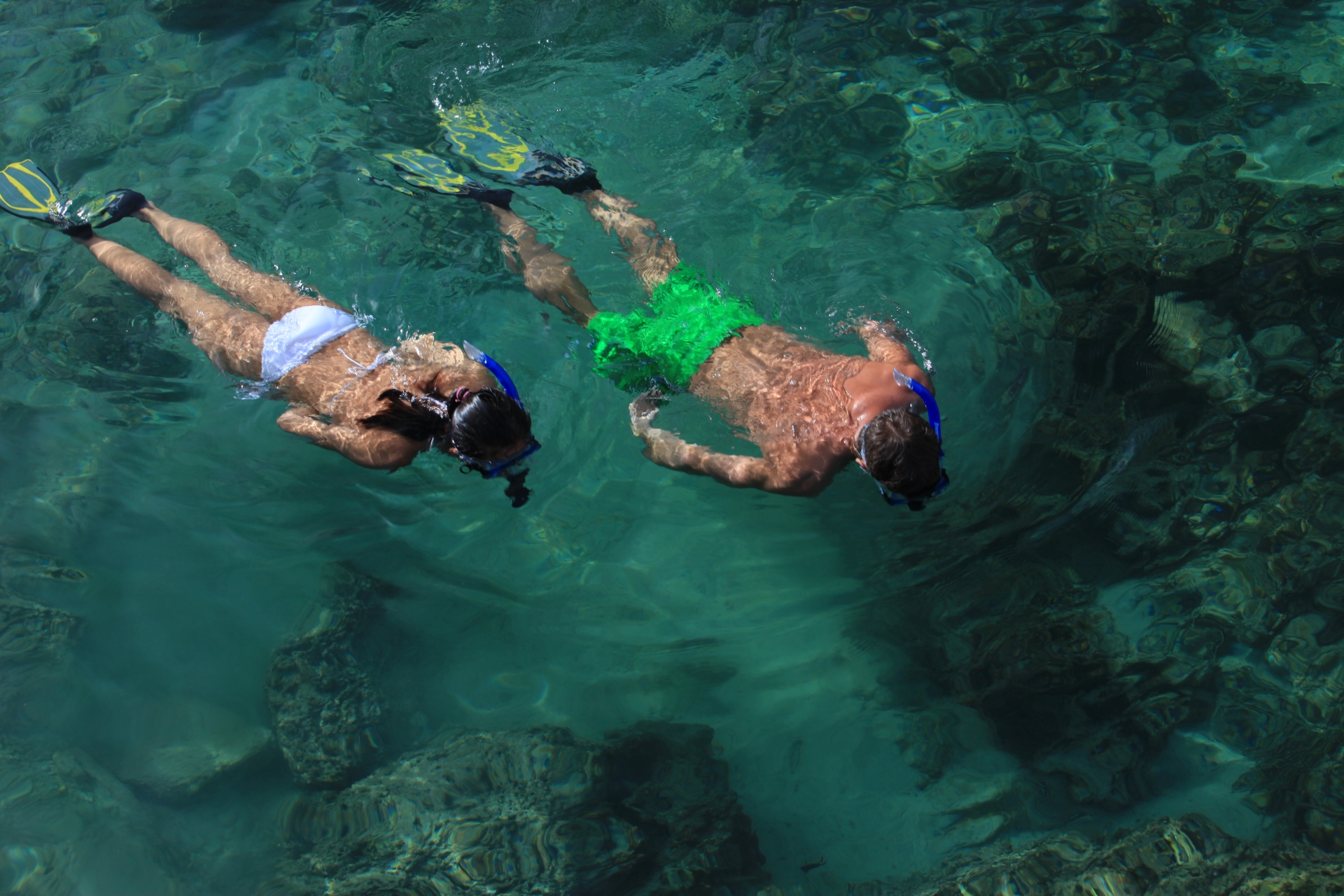 Snorkling ved Six Senses Zighy Bay, Oman