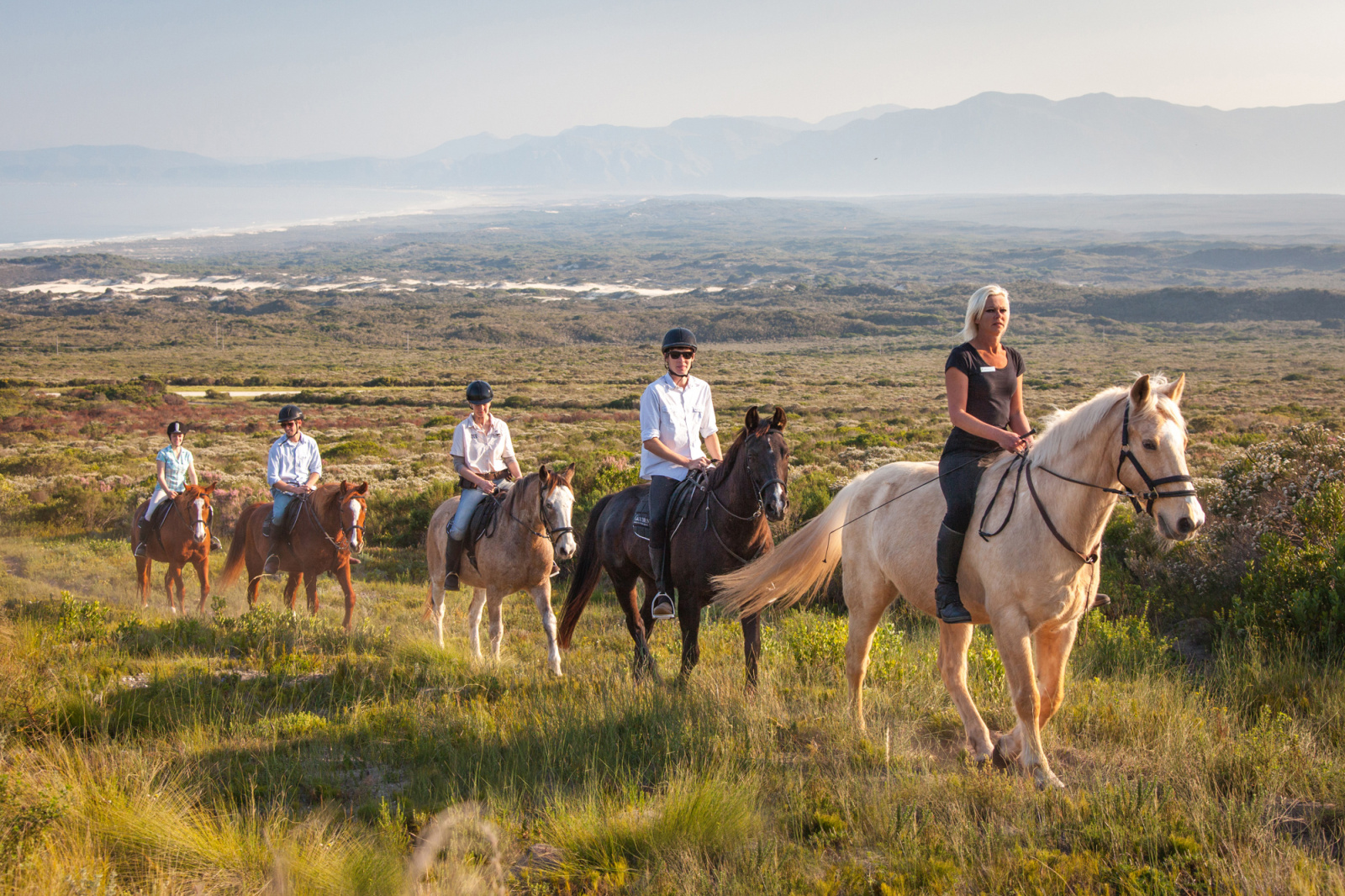 Ridning, Grootbos Nature Reserve, Sydafrika Ridning, Grootbos Nature Reserve, Sydafrika
