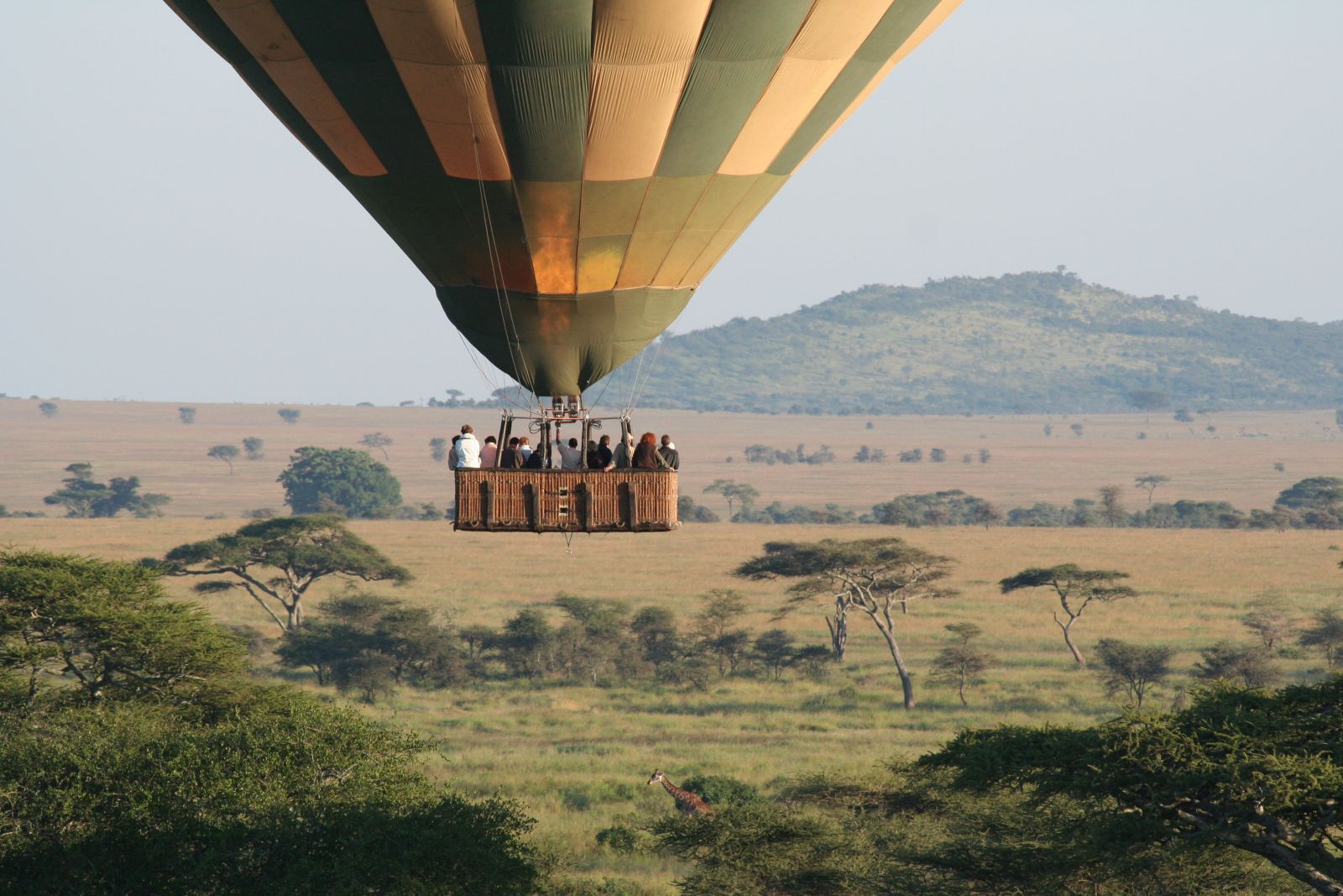 Luftballon safari i Afrika Luftballon safari i Afrika