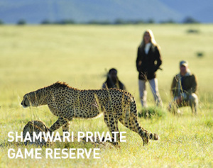 Shamwari Private Game Reserve, Sydafrika